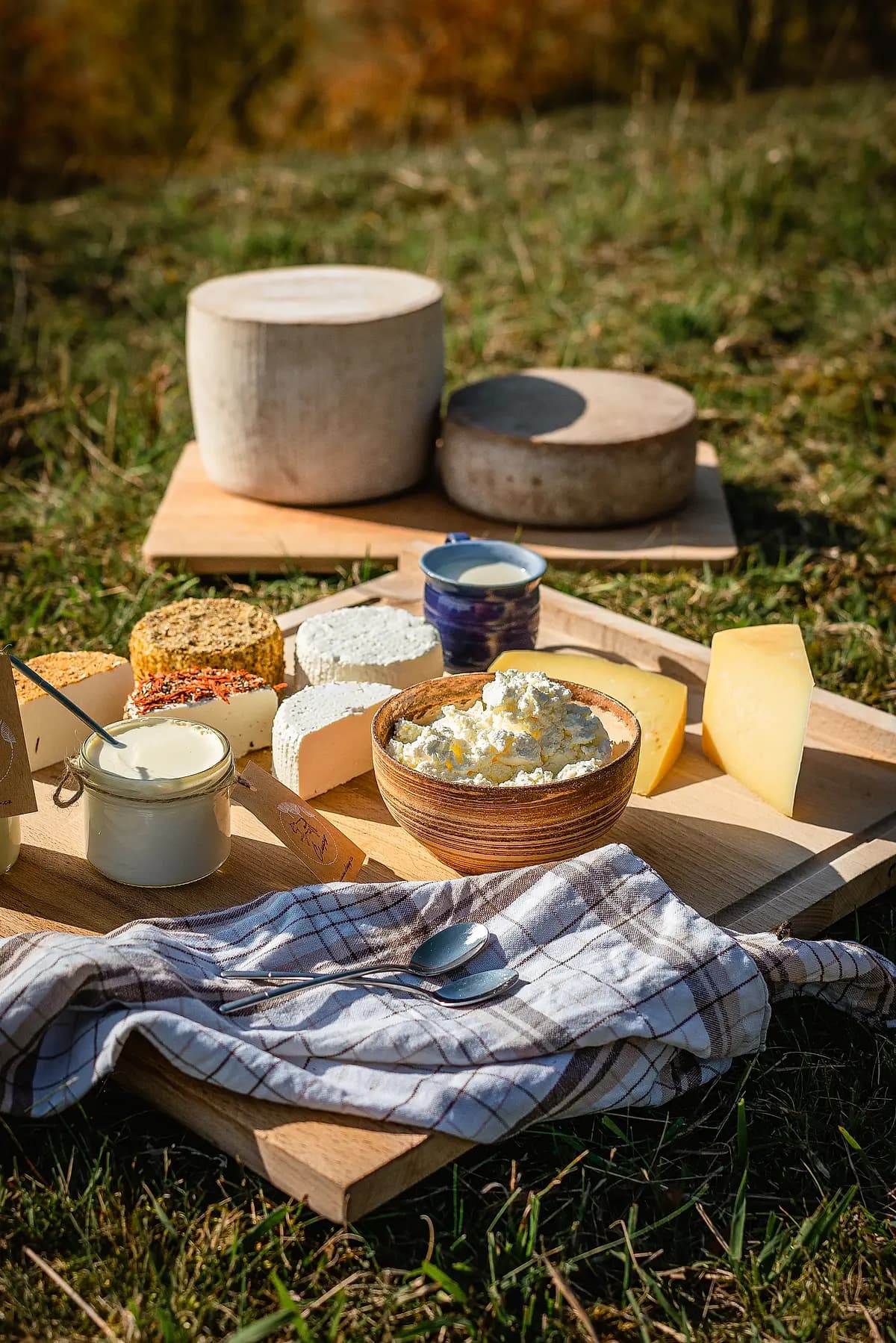 Řemeslné sýry a tvaroh z ekofarmy Člupy naskládané na dřevěném prkénku