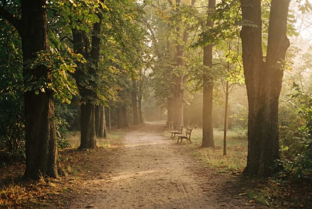 Zámecký park na jižní Moravě, romantické párové focení, intimní prostředí pro páry, Marcela Kramářová Fotoatelier Brno