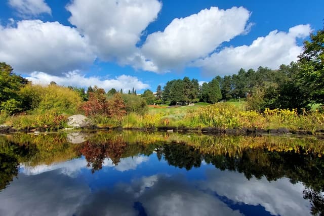 Těhotenské focení Arboretum Mendelovy univerzity Brno, botanická zahrada s magnóliemi a vzácnými stromy