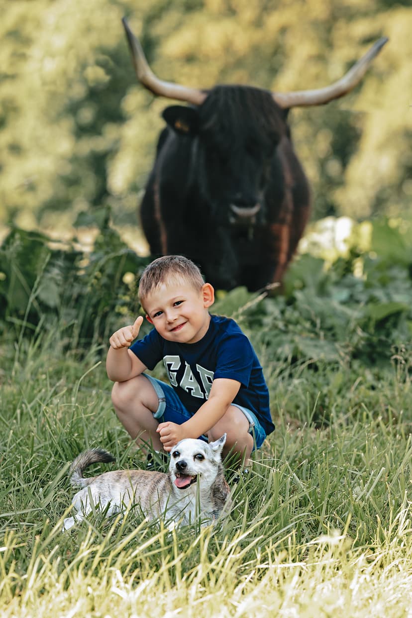 Přirozené rodinné focení na statku u Bolka, rodina s pejskem v letním slunci nedaleko Brna